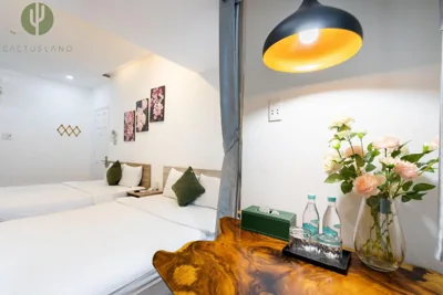 Cactusland Hotel & Apartment – 사진 11